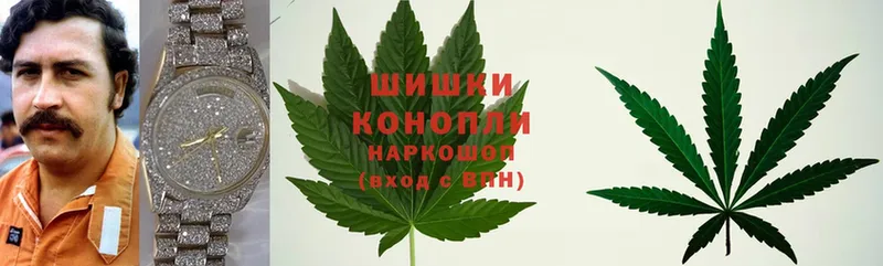 где купить наркоту  Шлиссельбург  Марихуана SATIVA & INDICA 